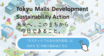 Sustainability‐action